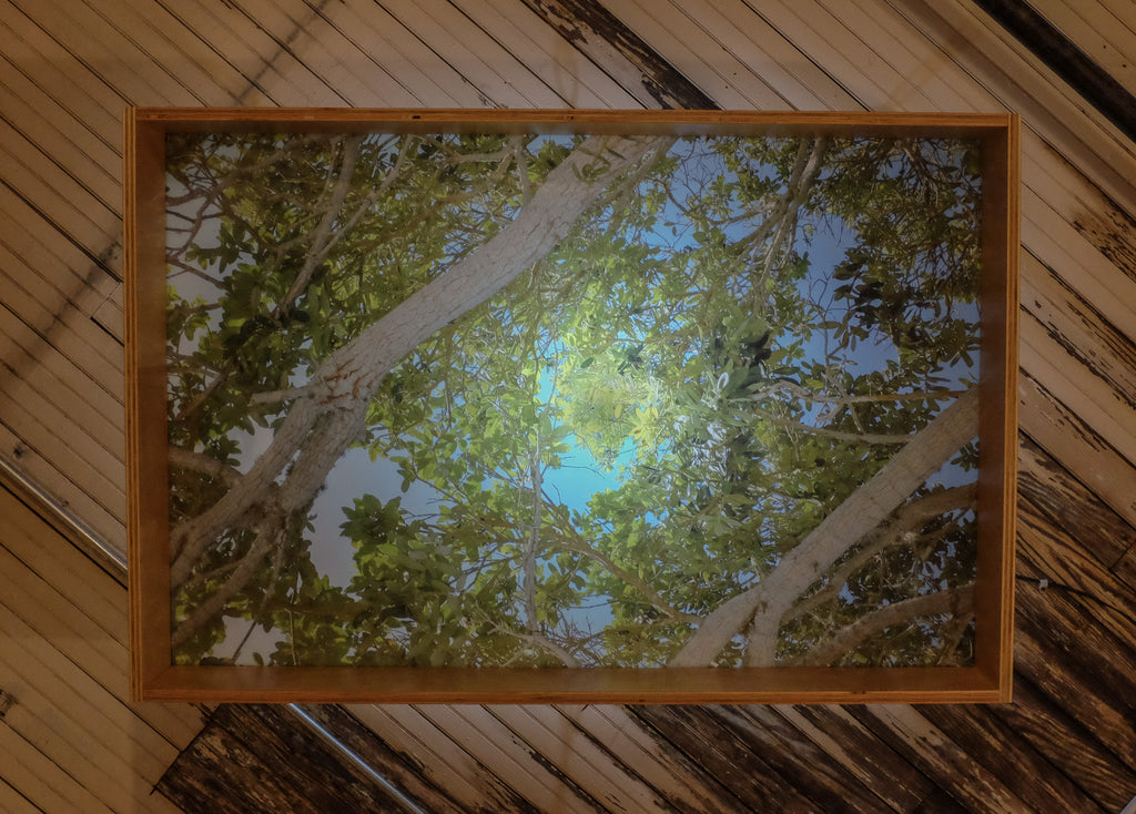 Ryan Frank Overhead (Foliage) 2015| Bedford Art Gallery