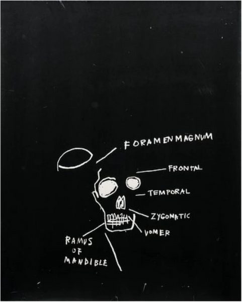 Jean-Michel Basquiat: Signed Set of 2 works Rasmus of Mandible and Posterior View  (Anatomy Suite), 1982