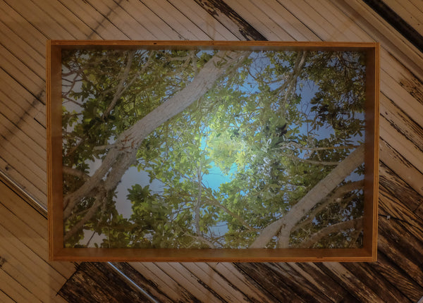 Ryan Frank Overhead (Foliage) 2015| Bedford Art Gallery